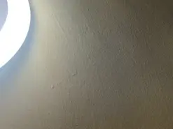 Amateur Free Live Porn of Dick_herr