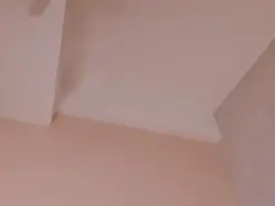 Amateur Watch Live Sex Cams of AbbieJones