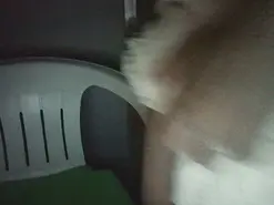 Amateur Live Porn of PrinceYBitch