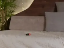 Amateur Live Sex Cam of Lana_lann