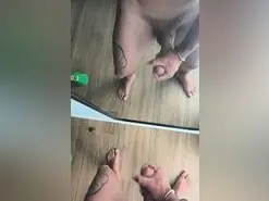 Amateur Adult Webcam of Trasno0