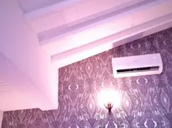 Amateur Live Sex of AbellaFox