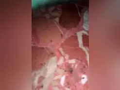 Amateur Adult Webcam of Vikingoylaurita