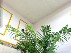 Amateur Nude Webcam of Celeste_cortes