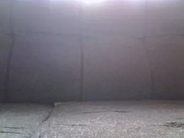 Bongacams Sex Cam of Lovepapigal