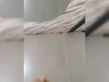 Bongacams Live Sex Cam of PinkKittyy