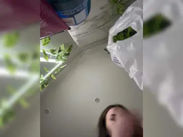 Bongacams Best Webcam of VAGNERMUR
