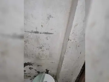 Bongacams Live Sex of Tunnidelhi