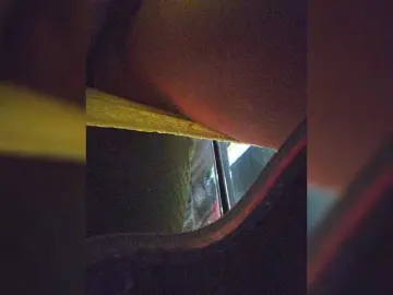 Bongacams Live Sex of EditaMilf