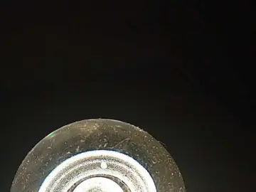 Bongacams Live Sex of Su-Velvet