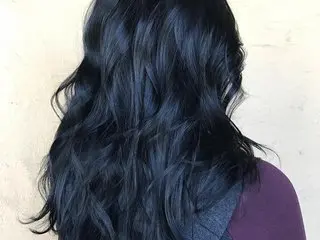 SpicedDove