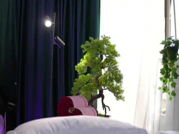 Bongacams Live Sex of ArtTeasee