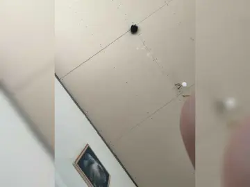 Bongacams Sex Cam of mari12-1