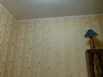 Bongacams Private Sex Chat of Valenttijm3851