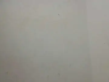 Bongacams Best live sex cam show of Wetpussieyy