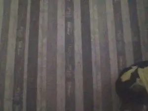 Cam4 Adult Webcam of talvezquias