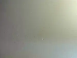 Cam4 Best Webcam of SrIncognito666