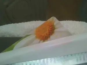 Cam4 Live Porn of zaken888
