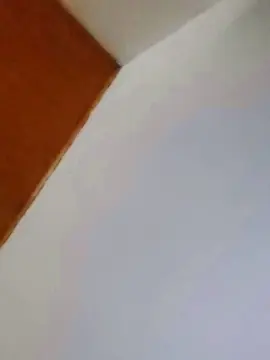 Cam4 Free Porn Cam of Ustedpida