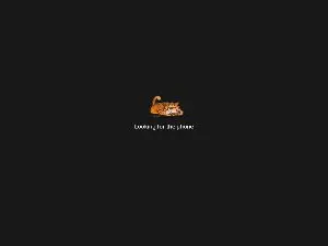 Cam4 Watch Live Sex Cams of valdelacroix