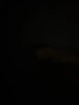 Cam4 Best live sex cam show of Pedroherique199