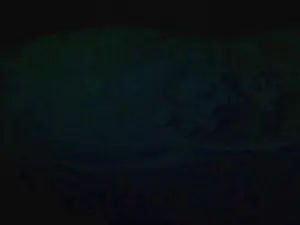 Cam4 Live Porn of kansai0721