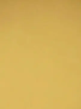 Cam4 Free Porn Cam of bitebedo3