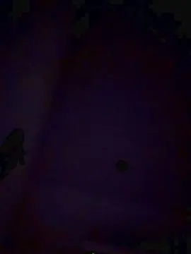 Cam4 Live Porn of Lana226