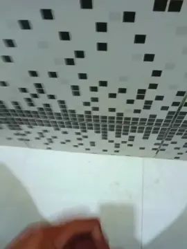 Cam4 Free Live Porn of math600