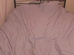 Cam4 Live Porn of eva_zero