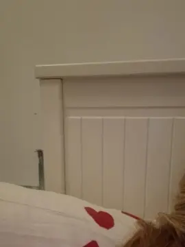 Cam4 Adult Webcam of jenny38