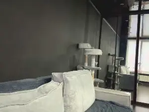 Cam4 Free Live Porn of SierraSmelcer