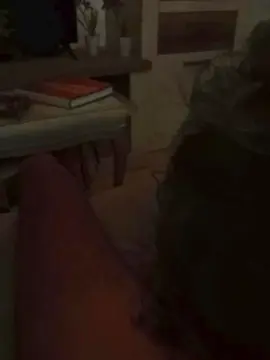 Cam4 Best live sex cam show of moreno2359