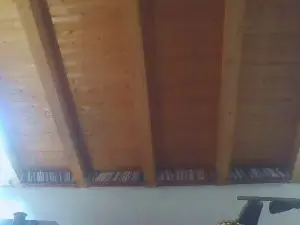 Cam4 Live Sex Cam of shaggyvery