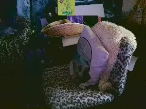 Cam4 Free Porn Cam of blindsurfer