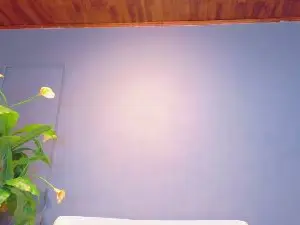 Cam4 Adult Webcam of Iker_bigdik