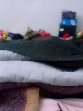 Cam4 Live Sex Cam of mojhei