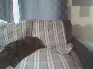 Cam4 Free Porn Cam of quebecinc1
