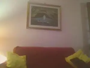 Cam4 Adult Video Chat of DmtrijD