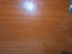 Cam4 Adult Webcam of GringoDelicius
