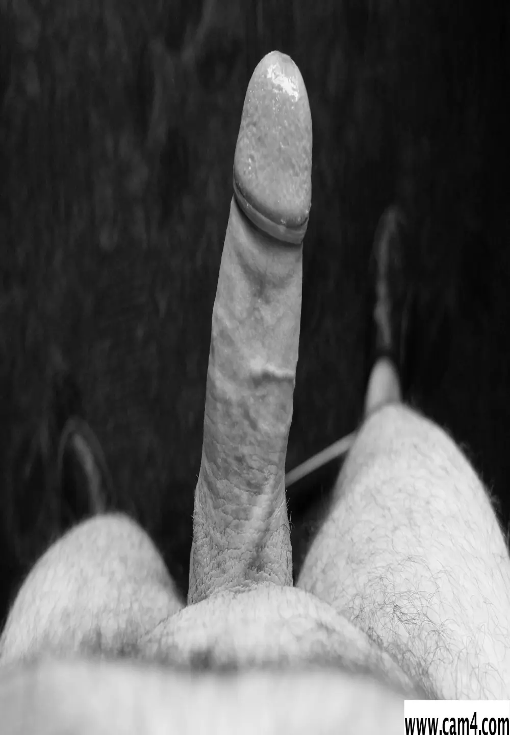 dicker760910