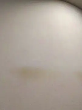 Cam4 Live Sex of tonytuga