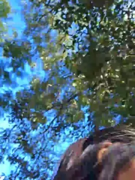 Cam4 Best live sex cam show of Mssady