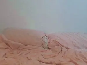 Cam4 Free Porn Cam of Loladomina78