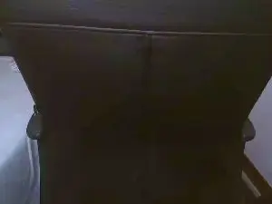 Cam4 Adult Video Chat of xDannfun