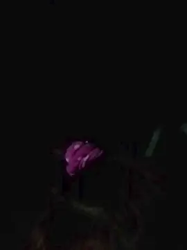 Cam4 Adult Video Chat of morena652