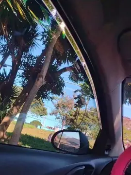 Cam4 Sex Cam of Nickcarro