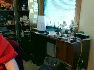 Cam4 Live Sex Cam of guyboobies