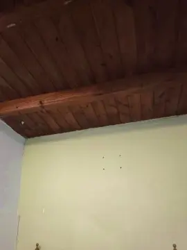 Cam4 Free Porn Cam of Ashleykitty00