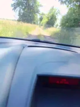 Cam4 Live Sex of MermaidNTiger